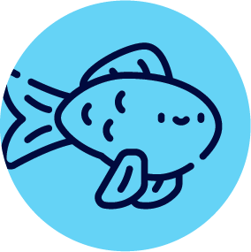 Goldfish lessons