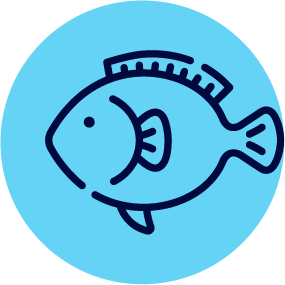 Snapper Swimming Lessons