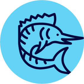 Swordfish